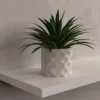 Maceta 001