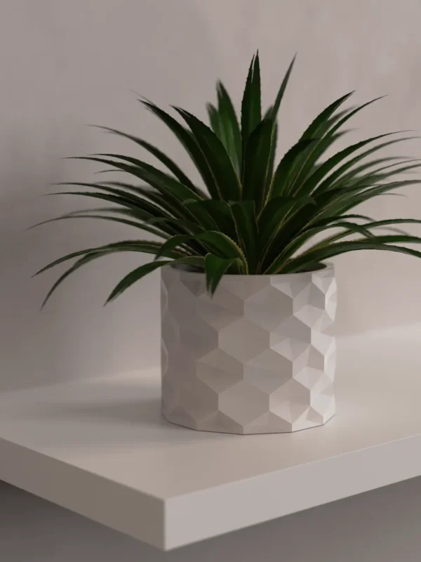 Maceta 001