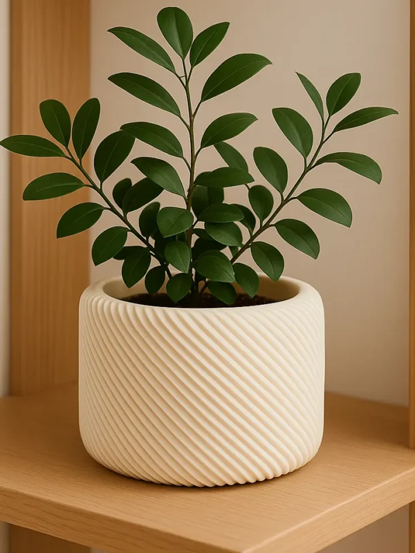 Maceta 002