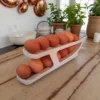 Dispenser Huevos 001